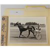 Image 1 : Harness Racing, Featuring Horse Stair Chip, 1 Photo