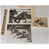 Image 1 : Harness Racing, Featuring Horse Stalwart Hanover, 4 Photos