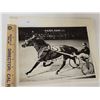 Image 1 : Harness Racing, Featuring Horse Steady Shadow, 1 Photo