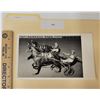 Image 1 : Harness Racing, Featuring Horse Speak Up, Pompano Park, 1 Photo
