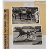 Image 1 : Harness Racing, Featuring Horse Space Shuttle, 2 Photos
