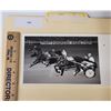 Image 1 : Harness Racing, Featuring Horse Spade, Pompano Park, 1 Photo
