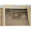Image 1 : Harness Racing, Featuring Horse Spanker, Driver Ted Taylor, Pompano Park, 1 Photo