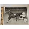 Image 1 : Harness Racing, Featuring Horse Speedy R., 1 Photo