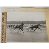 Image 1 : Harness Racing, Featuring Horse Speedy Herve, Driver Herve Filion, Showplace Farms, 1 Photo