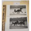 Image 1 : Harness Racing, Featuring Horse Speedy High, 2 Photos