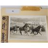 Image 1 : Harness Racing, Featuring Horse Speedy Jeffrey, Driver Anthony Ratti, 1 Photo