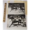 Image 1 : Harness Racing, Featuring Horse Speedy Larry, Driver Doug Ackerman, Hazel Park, 2 Photos