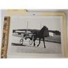 Image 1 : Harness Racing, Featuring Horse Speedy Money, 1 Photo