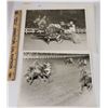 Image 1 : Harness Racing, Featuring Horse Speedy Nile, Driver Richard Thomas, Yonkers Raceway, 2 Photos