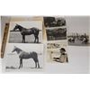 Image 2 : Harness Racing, Horses Of Hawkinsville Training Center, 10 Photos