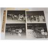 Image 1 : Harness Racing, Featuring Horse Ozark Beau, 7 Photos