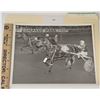 Image 1 : Harness Racing, Featuring Horse Ozark Chief, Pompano Park, 1 Photo