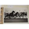 Image 1 : Harness Racing, Featuring Horse Ozzie's Charger, 1 Photo