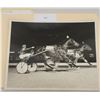 Image 1 : Harness Racing, Featuring Horse PA Carlos, 1 Photo