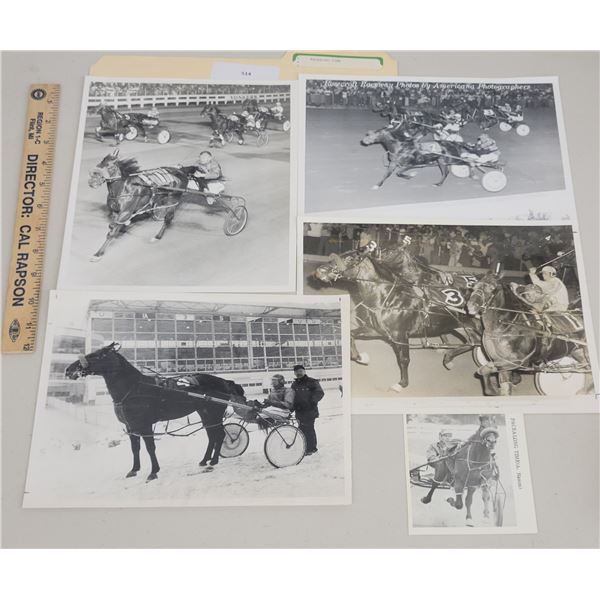 Harness Racing, Featuring Pacealong Time, 5 Photos