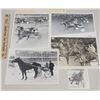 Image 1 : Harness Racing, Featuring Pacealong Time, 5 Photos