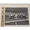 Image 1 : Harness Racing, Featuring Horse Pacella, Driver Chris Boring, The Meadowlands Race Track, 1 Photo