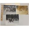 Image 3 : Harness Racing, Featuring Horse Pacing Boy, 9 Photos