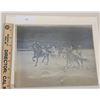 Image 1 : Harness Racing, Featuring Horse Pacing Derby, 1 Photo