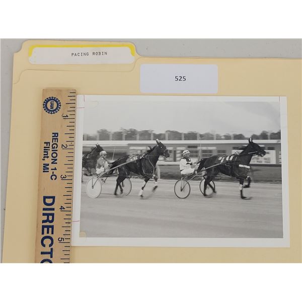 Harness Racing, Featuring Horse Pacing Robin, Balmoral Park, 1 Photo