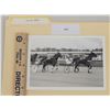 Image 1 : Harness Racing, Featuring Horse Pacing Robin, Balmoral Park, 1 Photo
