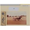 Image 1 : Harness Racing, Featuring Horse Paddington Byrd, 1 Photo