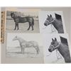 Image 1 : Harness Racing, Featuring Horse Painter, 5 Photos
