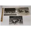 Image 1 : Harness Racing, Featuring Horse Palm Court, 3 Photos