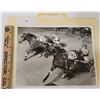 Image 1 : Harness Racing, Featuring Horse Pastime Fat Man, Driver Del Insko, Yonkers Raceway, 1 Photo