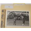 Image 1 : Harness Racing, Featuring Horse Patrick O' Glory, 1 Photo