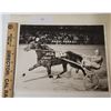 Image 1 : Harness Racing, Featuring Horse Patriot Lobell, Driver Lee Sattelburg, Hazel Park, 1 Photo