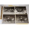 Image 1 : Harness Racing, Featuring Horse Patch Patrol, 4 Photos