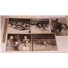 Image 1 : Harness Racing, Featuring Horse Pat Taylor, 5 Photos