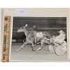 Image 1 : Harness Racing, Featuring Horse Paula Jo Van, Liberty Bell Park, 1 Photo