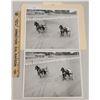 Image 1 : Harness Racing, Featuring Horse Pave Diamonds, Driver John Patterson, Jr., Yonkers Raceway, 2 Photos