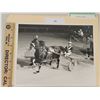 Image 1 : Harness Racing, Featuring Horse Payson Lobell, Driver Raymond Guenette, Liberty Bell Park, 1 Photo