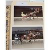 Image 1 : Harness Racing, Featuring Horse PBR, 2 Photos