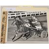 Image 1 : Harness Racing, Featuring Horse Peaches N Cream, Yonkers Raceway, 1 Photo