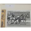 Image 1 : Harness Racing, Featuring Horse Pearada, 1 Photo