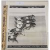 Image 1 : Harness Racing, Featuring Horse Pearly Chita, Driver Russell Frantz, Batavia Downs, 1 Photo