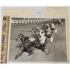 Image 1 : Harness Racing, Featuring Horse Pebble Lobell, Yonkers Raceway, 1 Photo