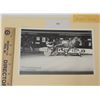 Image 1 : Harness Racing, Featuring Horse Pebbles Raider, 1 Photo