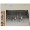 Image 1 : Harness Racing, Featuring Horse Penman, 1 Photo