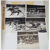 Image 1 : Harness Racing, Featuring Horse Penner, 5 Photos