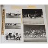 Image 1 : Harness Racing, Featuring Horse Pensive Bret, 8 Photos