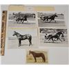 Image 1 : Harness Racing, Horses Of Arden Hill Farms, 5 Photos