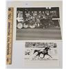 Image 1 : Harness Racing, Featuring Horse Steady Streaker, 2 Photos