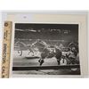 Image 1 : Harness Racing, Featuring Horse Steady Success, Driver Mike Gagliardi, The Meadowlands, 1 Photo
