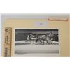 Image 1 : Harness Racing, Featuring Horse Steady Trust, 1 Photo